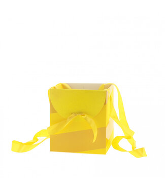 4A Sacs jaunes Muse | Dimensions 16 x 16 x 18 centimètres | Par 10 pièces