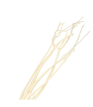4A Mitsumata blanche floconnée branches déco séchée | Longueur 115 centimètres | 3 branches par bouquet | Par bouquet
