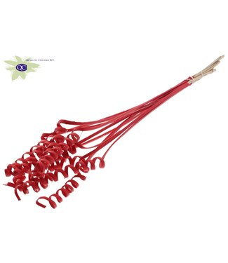 QC Cane Spring on stem Covered Red | Per 50 stuks