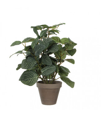 4A Grüne Pilea Kunstpflanze im Topf | Größe 11 x 25 x 35 Zentimeter | Pro 6 Stück