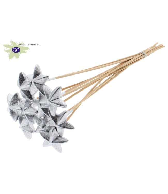 Styro Star hat type on stem Silver | Per 50 stuks te bestellen