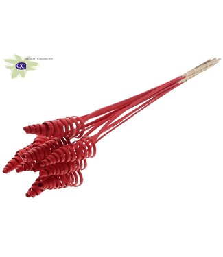 QC Cane Cone on stem Covered Red | Per 50 stuks