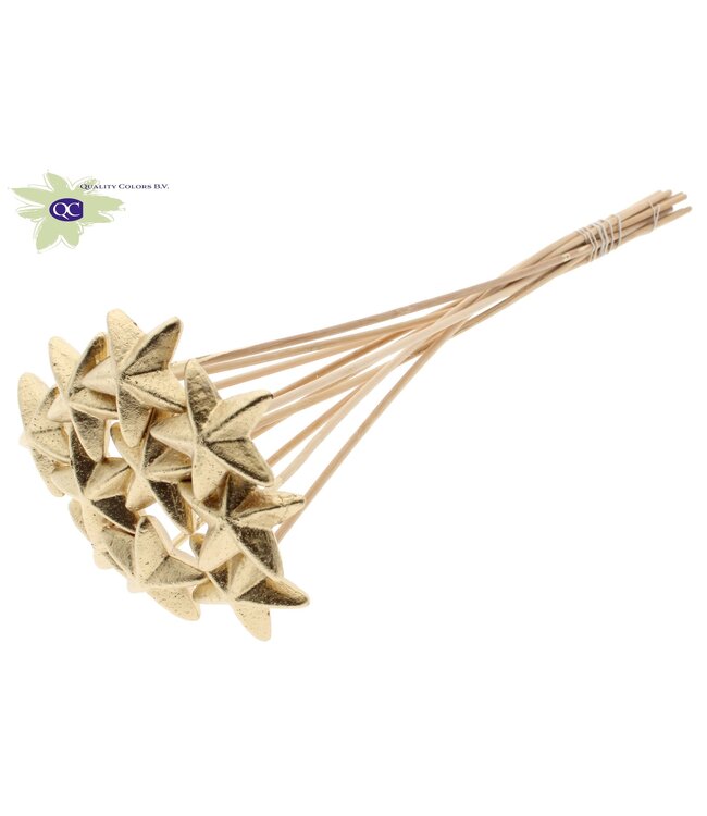 Styro Star hat type on stem Antique Gold | Per 50 stuks te bestellen