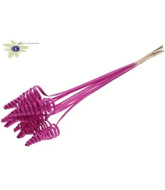 QC Cane Cone on stem Covered Cerise | Per 50 stuks