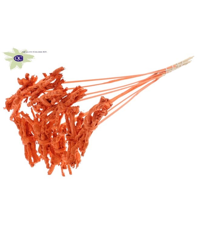 Coco rose Posy on stem Covered Orange | Per 50 stuks te bestellen