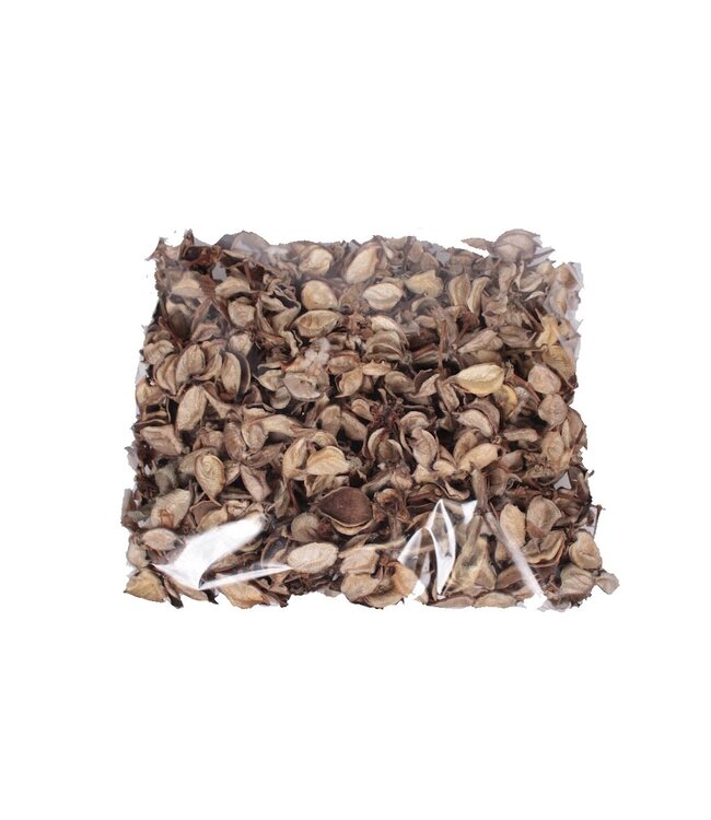 Cotton pods 250gr in poly Natural ( x 4 )