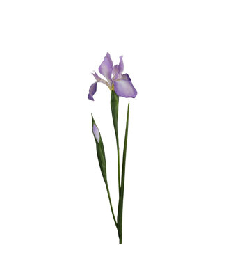 4A Kunstbloemen Iris 75cm | Per 12 stuks