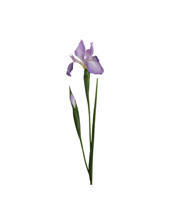 Kunstbloemen Iris 75cm | Per 12 stuks te bestellen