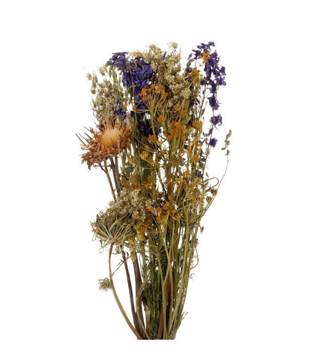 Bouquet séché hollandais bleu et jaune | Longueur 55 centimètres | Disponible à l'unité