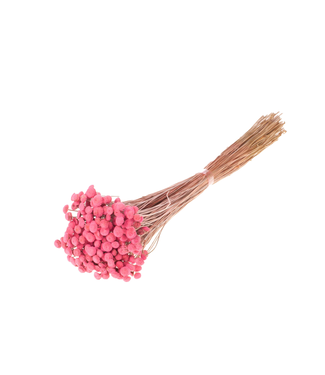 LDD Botao 40-45cm 100gr bunch pink | Per 5 stuks