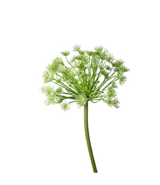 4A Kunstbloemen Queen Ann Lace 83cm | Per 6 stuks