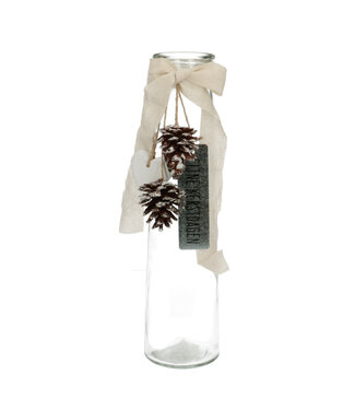 4A Kerst Deco fles kerstdagen d09*35cm ( x 12 )