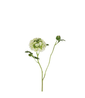 4A Hellgrüne Ranunkeln Kunstblumen | Länge 60 Zentimeter | Pro 6 Stück