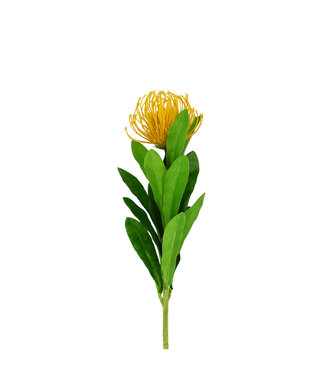 4A Kunstbloemen Leucospermum 66cm | Per 6 stuks