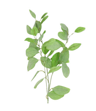 4A Kunstbloemen Eucalyptus 82cm ( x 4 )