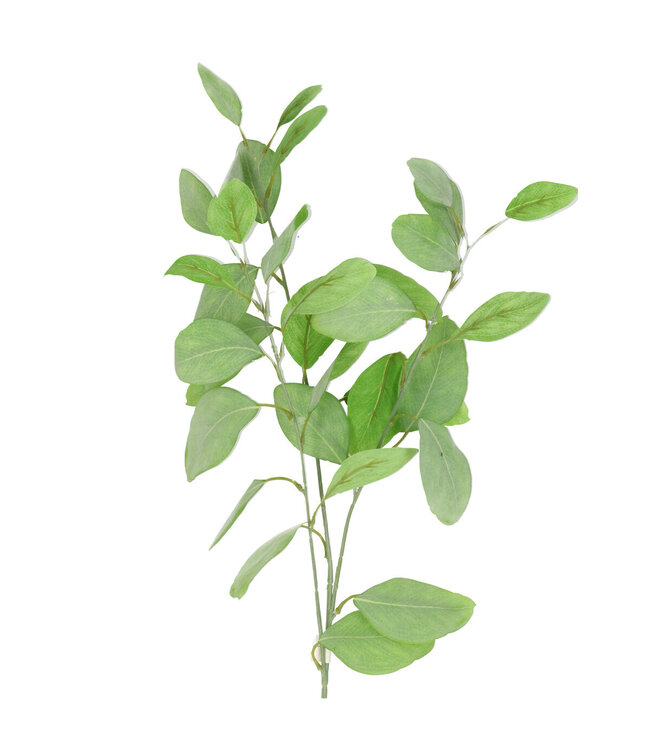 Kunstbloemen Eucalyptus 82cm ( x 4 )