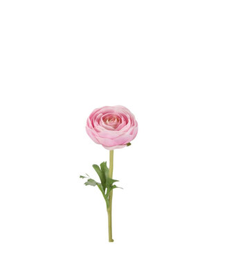 4A Rosa Ranunkeln Kunstblumen | Länge 35 Zentimeter | Pro 6 Stück