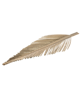 LDD Coco leaf big cut 75cm natural | Per 18 stuks