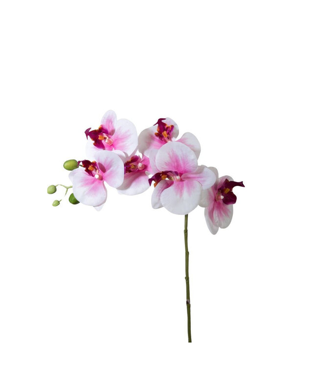 Pink Phalaenopsis artificial flowers | Length 68 centimetres | Order 6 pieces