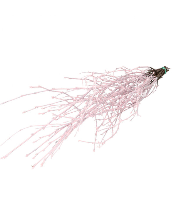 Light pink dried birch branches | Length 70 centimetres | 10 branches per bunch | Available per bunch