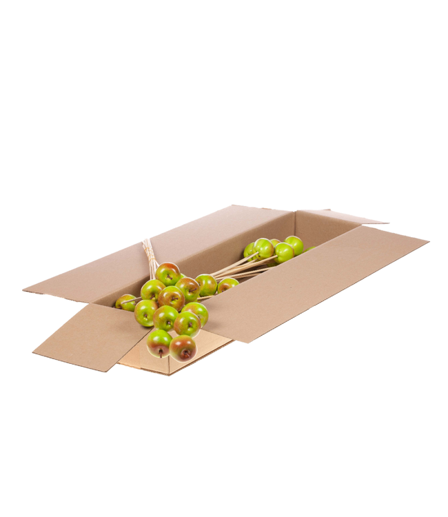 Apfel von 5 Zentimetern grün | 10 Einstecker pro Bund | Pro 4 Bündel