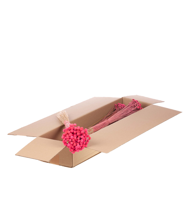 Botao 40-45cm 100gr bunch SB pink | Per 5 stuks te bestellen