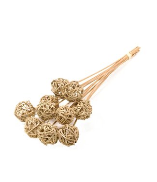 LDD Brunch ball 5cm o/s 10pc natural | Per 15 stuks