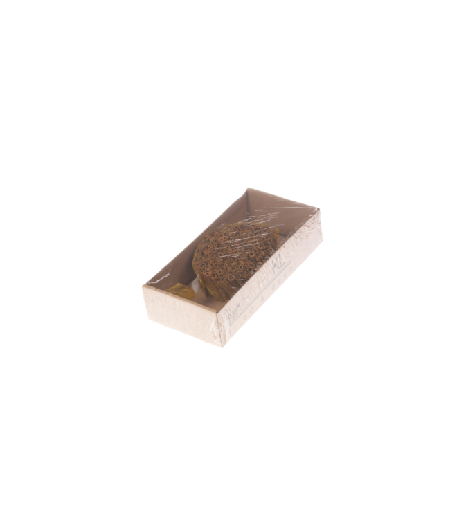 Cinnamon 8cm kg bulk  natural | Per stuk te bestellen