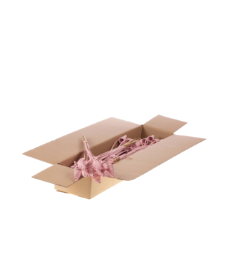 LDD Cane cone 10pc  pink misty | Per 5 stuks