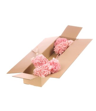 LDD Hydrangea preserved 3pc 50cm SB bleached pink | Per 2 stuks