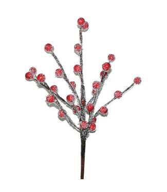 LDD Ilex berry o/s 10pc red + snow | Per 35 stuks