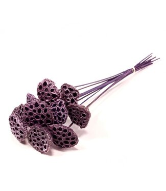 LDD Lotus medium o/s wax 10pc wax purple ( x 9 )