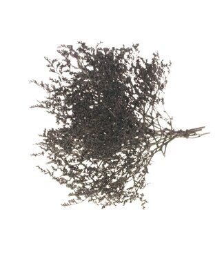 LDD Black dried sea lavender | Statice tatarica dried flowers | Weight 1 kilogram | Per kilogram