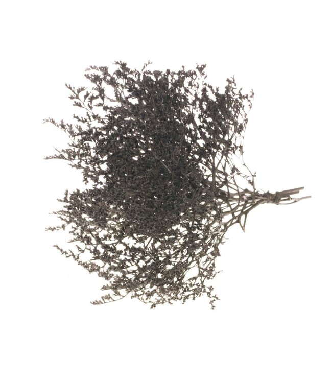 Black dried sea lavender | Statice tatarica dried flowers | Weight 1 kilogram | Order per kilogram