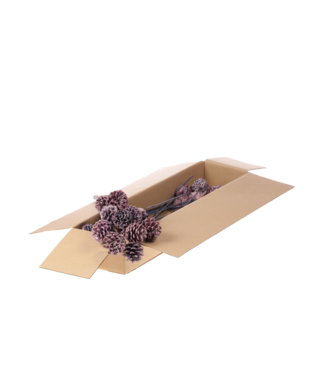 LDD Pine cones purple wax hatches on stick | 10 pieces per bunch | Diameter 5 - 7 centimetres | Per 3 bunches