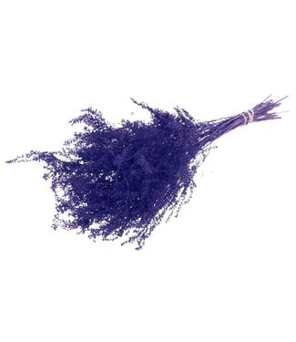 LDD Dark blue dried Solidago | Goldenrod dried flowers | Per 25 pieces