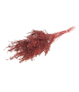 LDD Red dried Solidago | Goldenrod dried flowers | Per 25 pieces