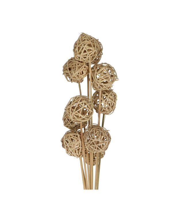 Natural Brunch Ball Stick | Length 50 centimetres | Diameter 5 centimetres | Available to order in sets of 10