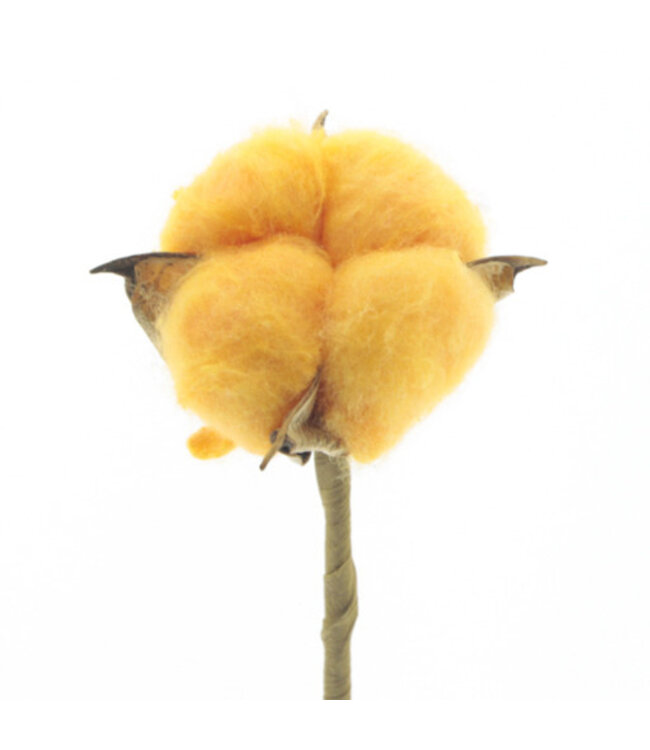 Orange cotton stick | Length 50 centimetres | Diameter 5 centimetres | Available to order in quantities of 25