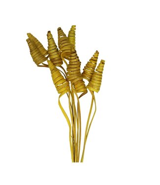 4A Bijsteker 50 centimeter Cane Cone | Per 10 stuks
