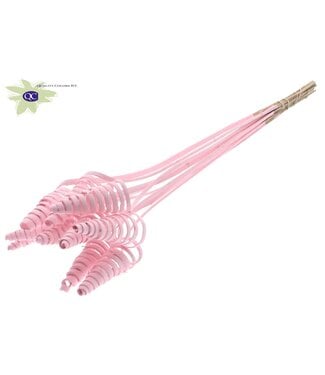 QC Cane Cone on stem Covered Light Pink | Per 50 stuks