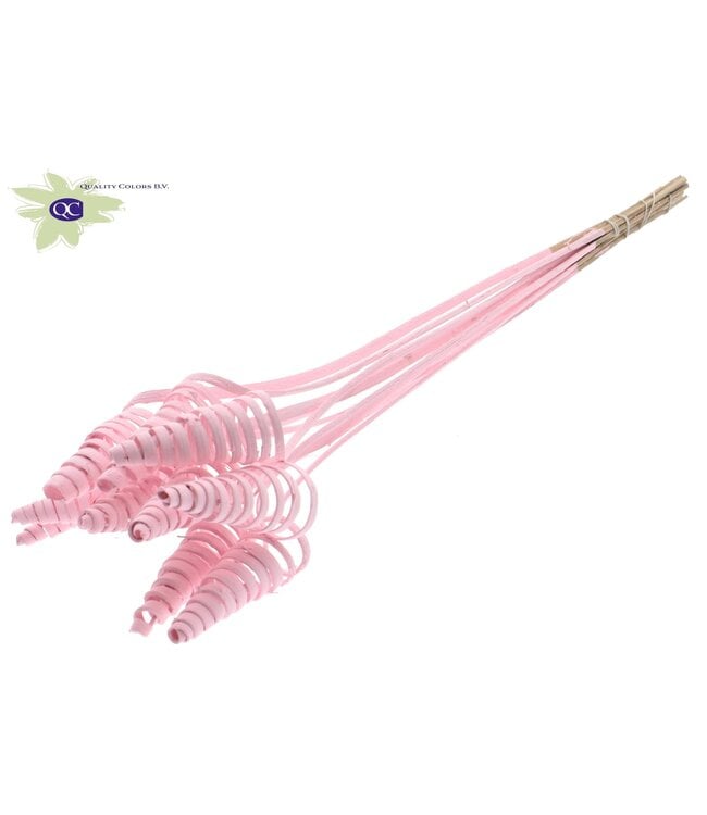 Cane Cone on stem Covered Light Pink | Per 50 stuks te bestellen