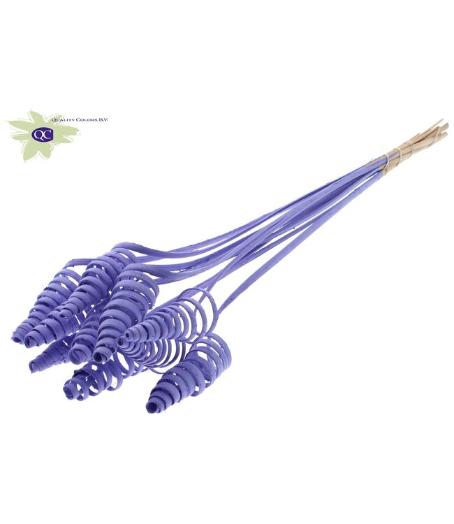 Cane Cone on stem Covered Milka | Per 50 stuks te bestellen