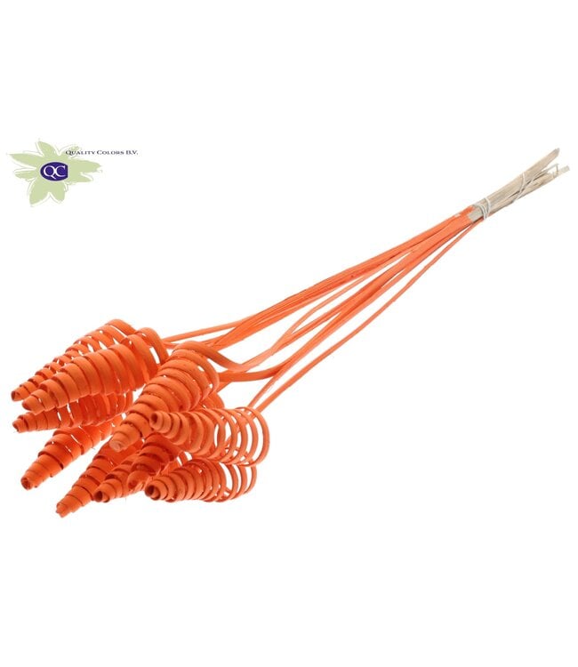 Cane Cone on stem Covered Orange | Per 50 stuks te bestellen