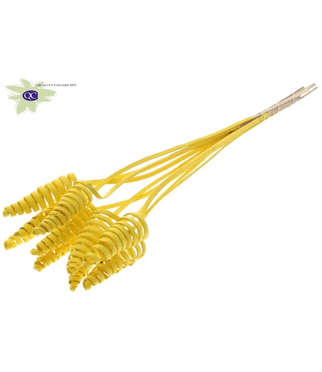 Cane Cone on stem Covered Yellow | Per 50 stuks te bestellen