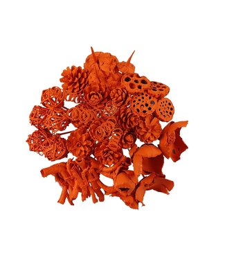 QC Orange covered artful bouquet | 40 leaflets on stick | Length 50 centimetres | Each