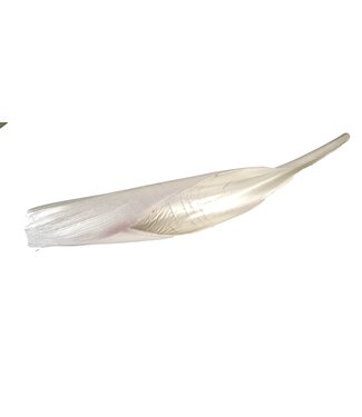 QC Calvao Carana Lgt 110-140 centimeter per pc Platina  | Per stuk