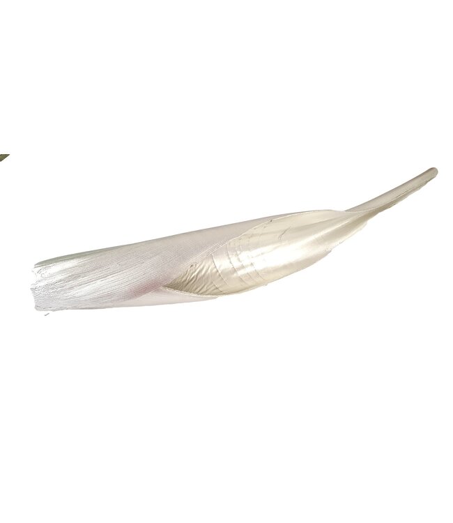 Calvao Carana Lgt 110-140cm per pc Platina ( x 1 )