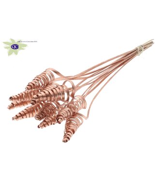 QC Cane Cone on stem Copper | Per 50 stuks