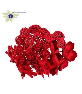 QC Red covered artistic bouquet | 40 leaflets on stick | Length 50 centimetres | Per 10 pieces